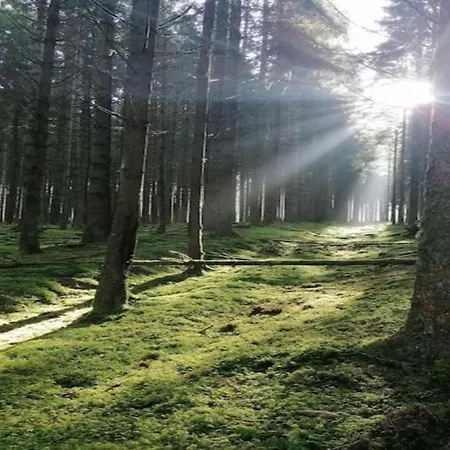Peaceful Retreat In Holiday home