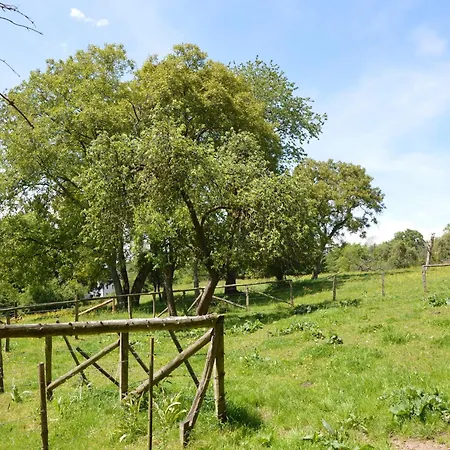 Peaceful Retreat In Ferrières
